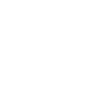 100% SECURE CHECKOUT